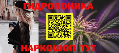 крисы Краснодар