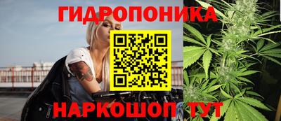 эйфоретик Краснознаменск