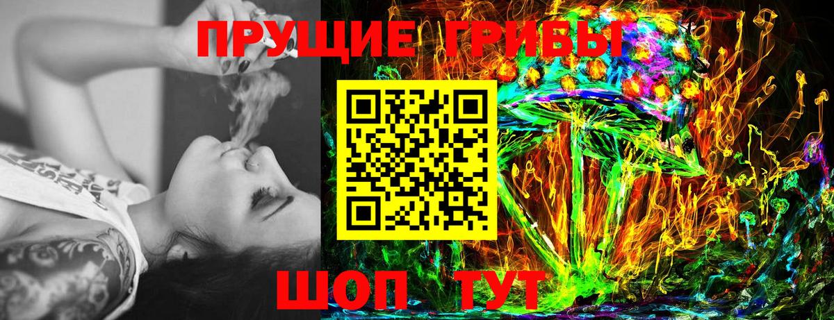 Верхняя Пышма  Псилоцибиновые грибы прущие грибы  Вход с VPN 