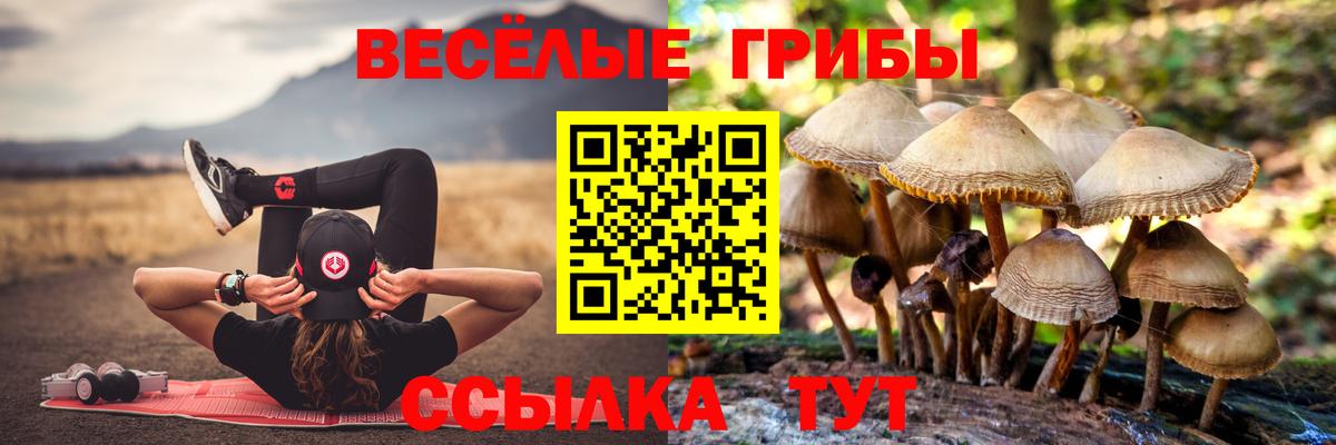 Псилоцибиновые грибы мицелий Верхняя Пышма